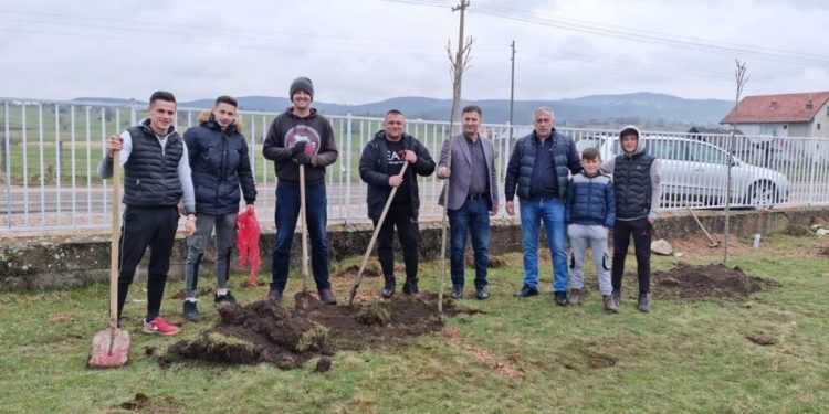 Na Dan planete Zemlje, na Donjoj Pešteri zasađeno stotinu sadnica Platana