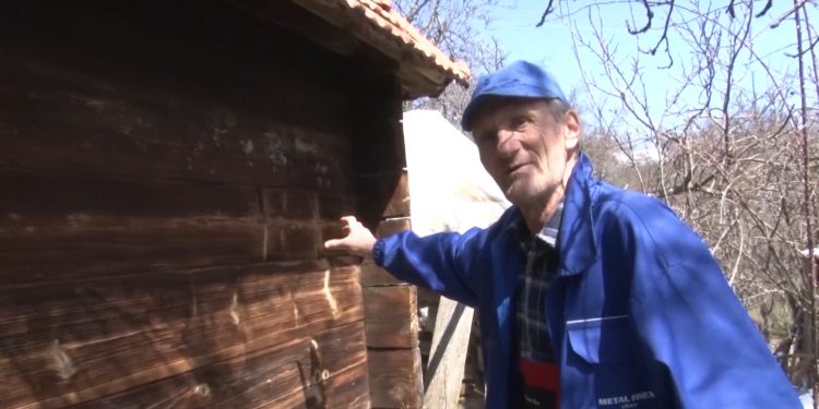 (VIDEO) NOVA VAROŠ: MEČKA SA MLADUNCIMA VEĆ DRUGU NOĆ DOLAZI U DOMAĆINSTVO MIROLJUBA NEDIĆA