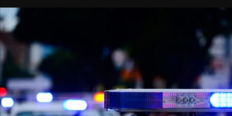 Zaplenjena DROGA vredna 800.000 evra