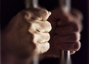 Prijepoljac ručnim kolicima švercovao 30 kg marihuane preko granice, osuđen na 3 godine i 4 meseca zatvora