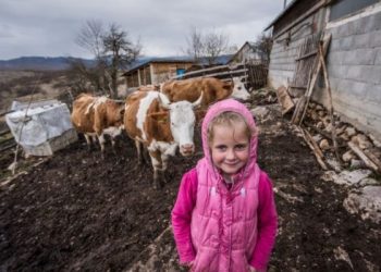 Tutin / Danju čuva svoje kravice, a noću spava u čađavoj sobi: I vodu ima samo u bunaru