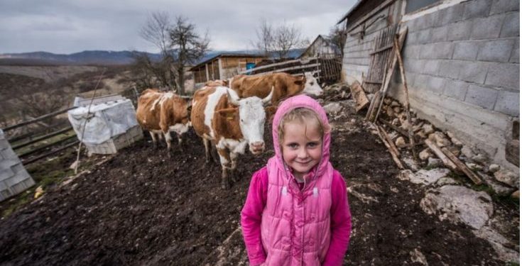 Tutin / Danju čuva svoje kravice, a noću spava u čađavoj sobi: I vodu ima samo u bunaru