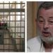 Profesor glume MIKA ALEKSIĆ još 30 dana u pritvora: Iza rešetaka zbog potencijalno visoke
