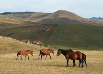 (VIDEO)PUTOVAJE BEZ GRANICA,Tutin kao turistička destinacija koju treba obavzno posetiti