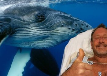 ‘Bio sam kitu u ustima! Cijelog me progutao pa me iskašljao