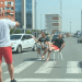 HIT: KAKAV PROTEST, CRNOGORSKI PROTEST- ŚEDIŠ A PROTESTVUJEŠ