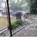 NEVRIJEME POGODILO CENTRALNU BOSNU: Grad veličine oraha padao na isti dan kao i prošle godine u… (foto)