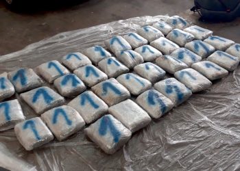 Policija u Prijepolju zaplenila veliku količinu narkotika