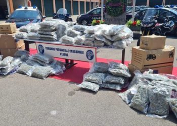 (VIDEO) Italija: Uhapšeni državljani Srbije, policija pronašla 232kg droge
