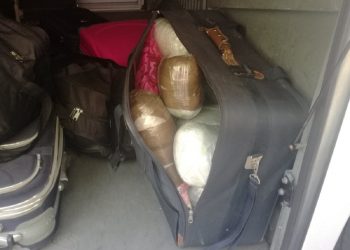 Zaplenjeno 17kg marihuane na Rudnici