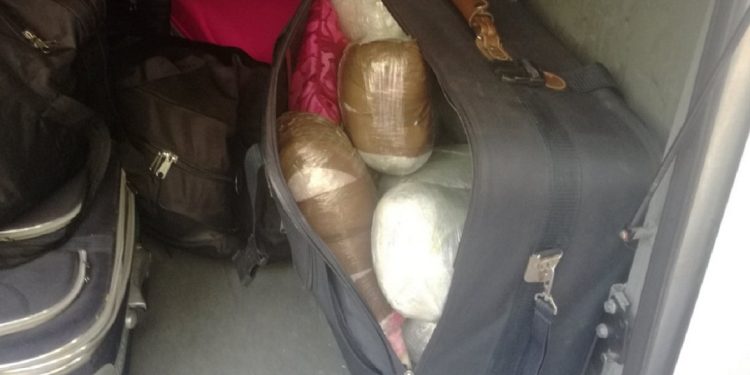 Zaplenjeno 17kg marihuane na Rudnici