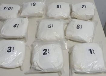 POLICIJA tokom pretresa kuće PRONAŠLA 15 kg spida