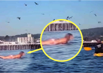 Snimala je svoju kćerku na plaži, ali nije ni slutila šta će se desiti narednih sekundi!