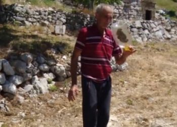 Drago u krš po zmije ide bos: Najljepša para je tu, jedan komad 50 eura