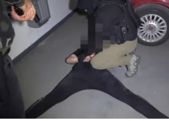 PRVOG DANA EXITA 54 UHAPŠENIH! Pali zbog konzumiranja i dilovanja droge, među njima 31 stranac