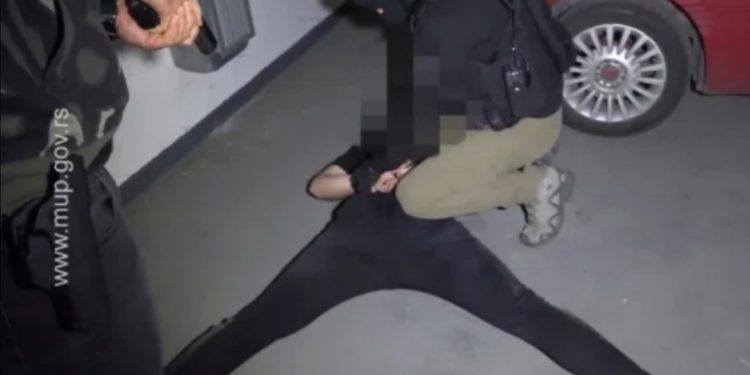 PRVOG DANA EXITA 54 UHAPŠENIH! Pali zbog konzumiranja i dilovanja droge, među njima 31 stranac