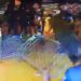 SRAMOTNI SNIMCI OBIŠLI SVIJET: Obračun igrača Boce sa protivnicima, osiguranjem i policijom, zbog ovoga se očekuju drastične kazne…