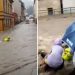 Poplave u Njemačkoj: Mještani uskočili da spase vatrogasca, objavljen snimak