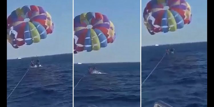 UZNEMIRUJUĆI SNIMAK: Ajkula ODGRIZLA paraglajderu stopalo