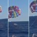 UZNEMIRUJUĆI SNIMAK: Ajkula ODGRIZLA paraglajderu stopalo