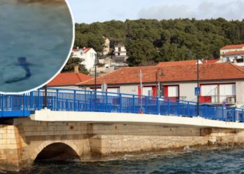 (VIDEO) Na Jadranu snimili morskog psa kako pliva uz samu obalu: “Izgleda da se nikog ne boji”