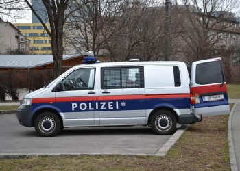 Žena iz BiH flašom gađala njemačke policajce, jednog ugrizla za nogu