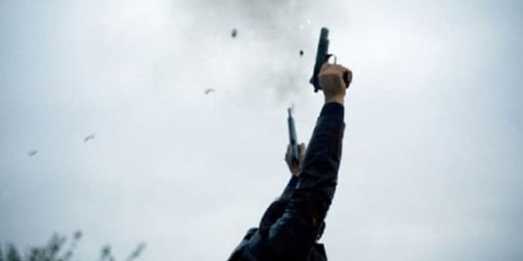 ZA ŠENLUČENJE U SRBIJI MOŽETE DA DOBIJETE DO 10 GODINA ZATVORA: Samo oni mogu da pucaju, a nisu policija, vojska ni obezbeđenje