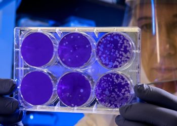 Virus gripa mutira 30 puta češće od korone