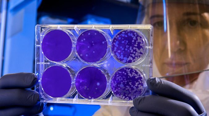 Virus gripa mutira 30 puta češće od korone