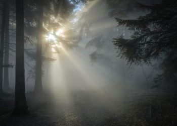 Nastradala dva lovca u Bosni i Hercegovini nakon što su nagazili na MINU