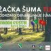 Sandžačka šuma Turskoj – poklon narodu Turske od naroda iz Sandžaka