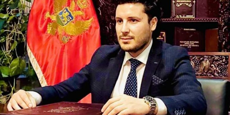 Vujović: Zašto bi DRITAN rušio Vladu koja bi da uništi Crnu Goru