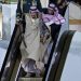 Saudijski kralj Salman u Indoneziju putuje s “prtljagom” teškim čak 506 tona
