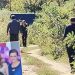 FOTO Prve fotografije iz Aleksinca: Rodbina stiže na mesto gde su Đokići nađen