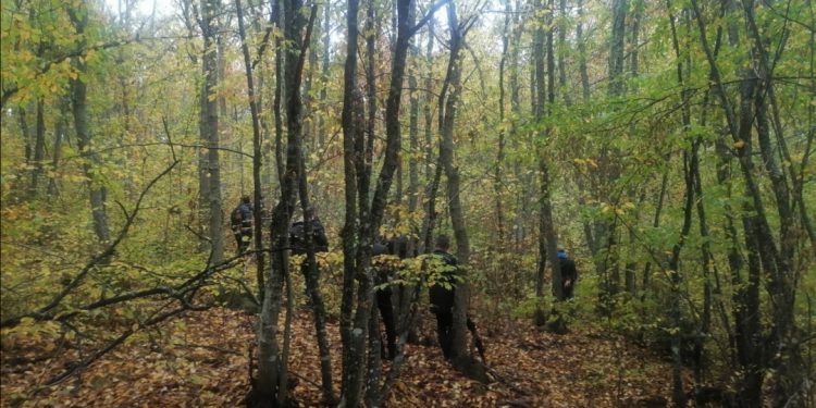 DETALJI TRAGEDIJE KOD TUTINA: Policija pronašla telo nastavnika Nasufa, obavljaju uviđaj, sumnja se na samoubistvo