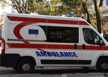 MAJKA I SIN SE UBILI ISTOG DANA: Porodična tragedija u Mačvanskom Pričinoviću