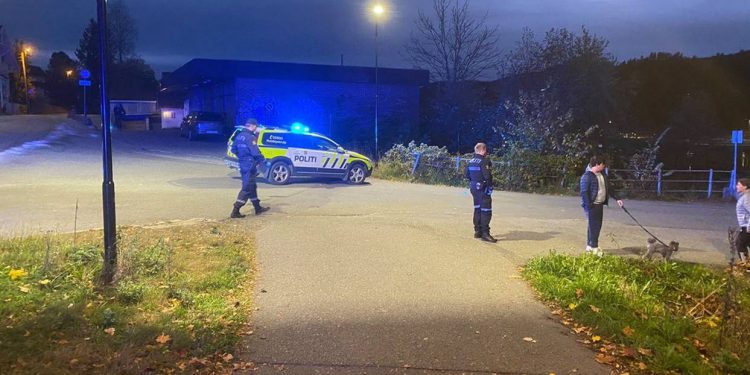 Lukom i strijelom usmrtio i ozlijedio više ljudi u Norveškoj
