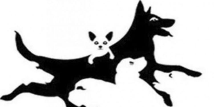 DOBRO POGLEDAJTE: KOLIKO PASA VIDITE?