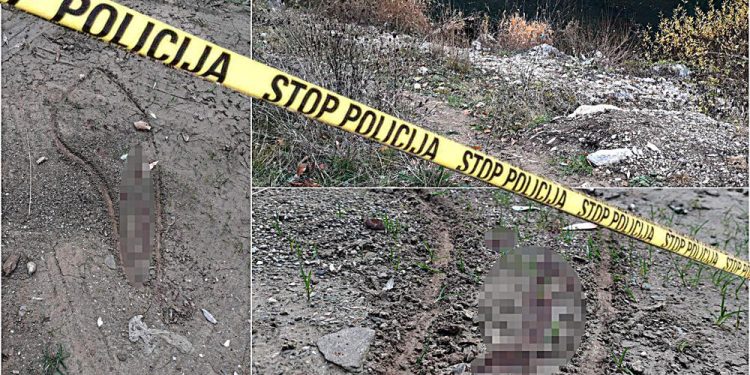 TRAGOVI KRVI NAĐENI U KUĆI TUTINCA ZA KOG SE SUMNJA DA JE UBIO KRALJEVČANKU? Nakon toga njeno telo bacio u Ibar i dalje u bekstvu
