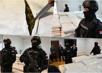 KAKVA ZAPLENA! POGLEDAJTE POLA TONE MARIHUANE U NIŠU Vulin: Zalažem se da se prodaja droge maloletniku kazni KAO POKUŠAJ UBISTVA