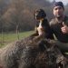Lovac Senad Hot Ćorni iz Tutina odstrelio vepra od oko 200 kg!