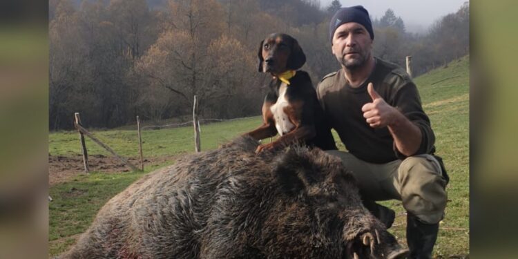 Lovac Senad Hot Ćorni iz Tutina odstrelio vepra od oko 200 kg!