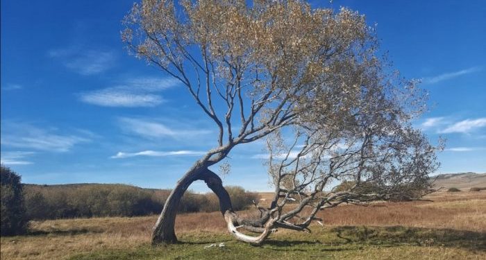 MOŽE LI NOVEMBAR BITI BEZ SNIJEGA: Vrijeme koje nas očekuje do kraja mjeseca…