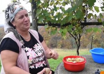 (VIDEO) (VIDEO) PRIČA O HASANU KAJTEZOVIĆU KOJI JE IMAO 54-ORO DJECE I ČETIRI ŽENE !