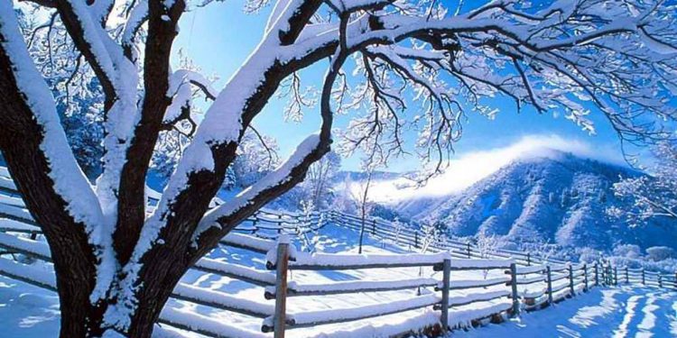 Pašće SNEG u čitavoj Srbiji! Meteorolozi najavili: Evo kada će sve da se ZABELI