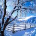 Pašće SNEG u čitavoj Srbiji! Meteorolozi najavili: Evo kada će sve da se ZABELI