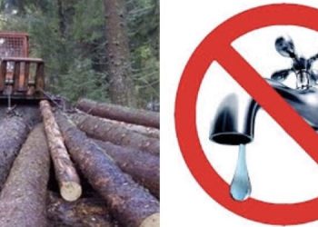 SJEČOM ŠUME U ĐEREKARU OŠTEĆEN CJEVOVOD PEŠTERSKOG VODOVODA