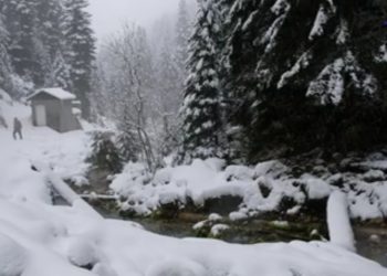 (VIDEO) Pešterska sela već treći dan bez vode zbog oštećenja cjevovoda izazvanog sječom šume.