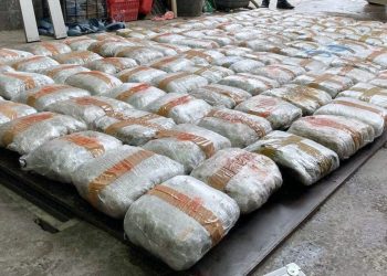 VELIKA ZAPLENA! Preko 155 kilograma marihuane u ”bunkeru” kamiona (FOTO)