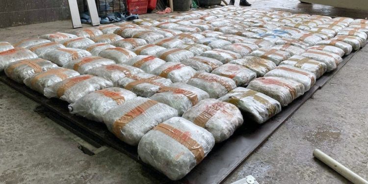 VELIKA ZAPLENA! Preko 155 kilograma marihuane u ”bunkeru” kamiona (FOTO)